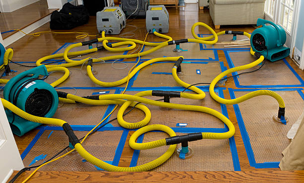 Professional Emergency Water Removal technician working in Mayville, MI